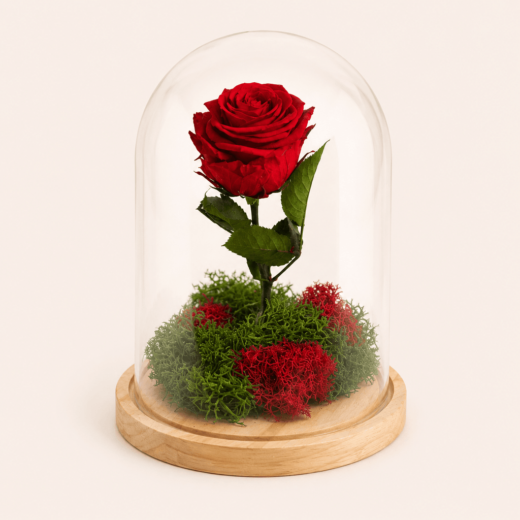 1 Rosas preservadas en cupula