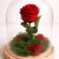 1 Rosas preservadas en cupula