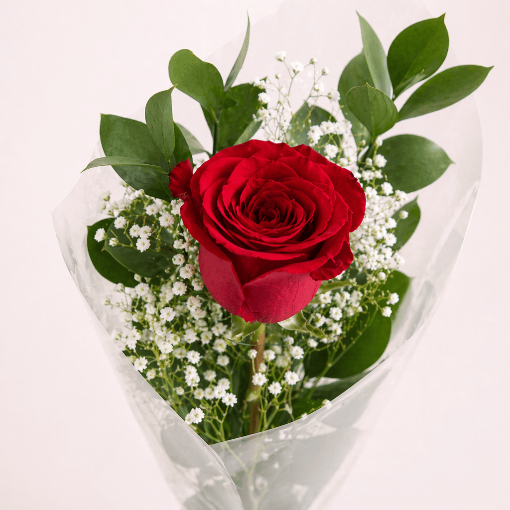 1 rosa