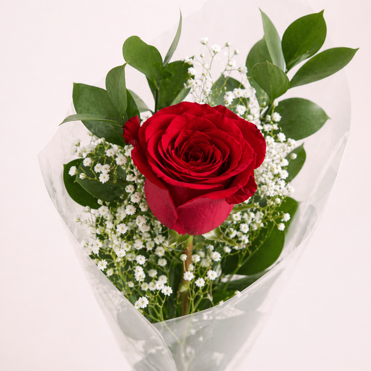 1 rosa