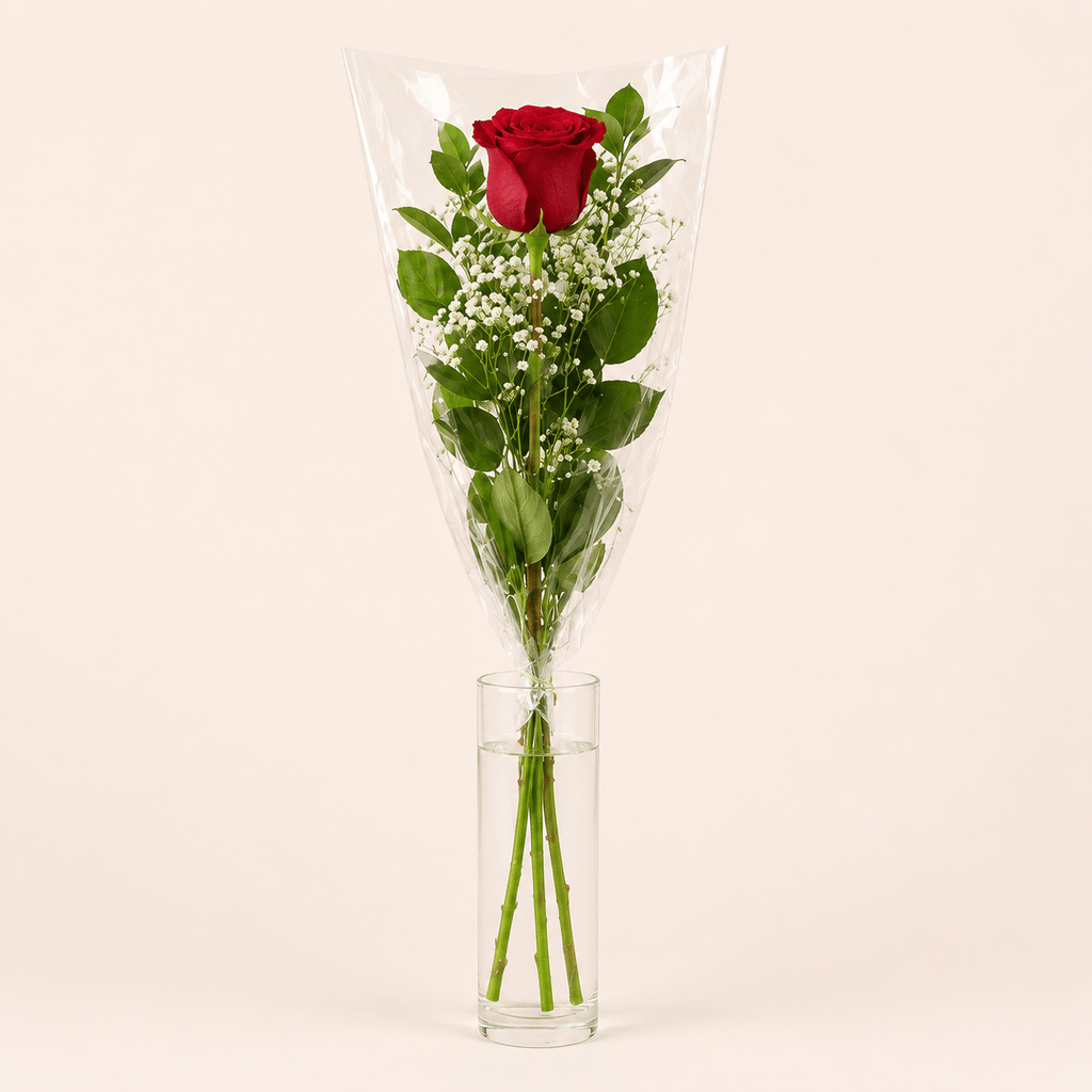 1 Rosa