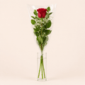 1 Rosa
