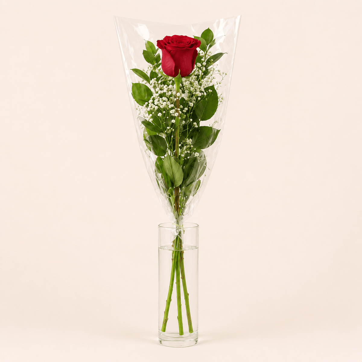 1 Rosa