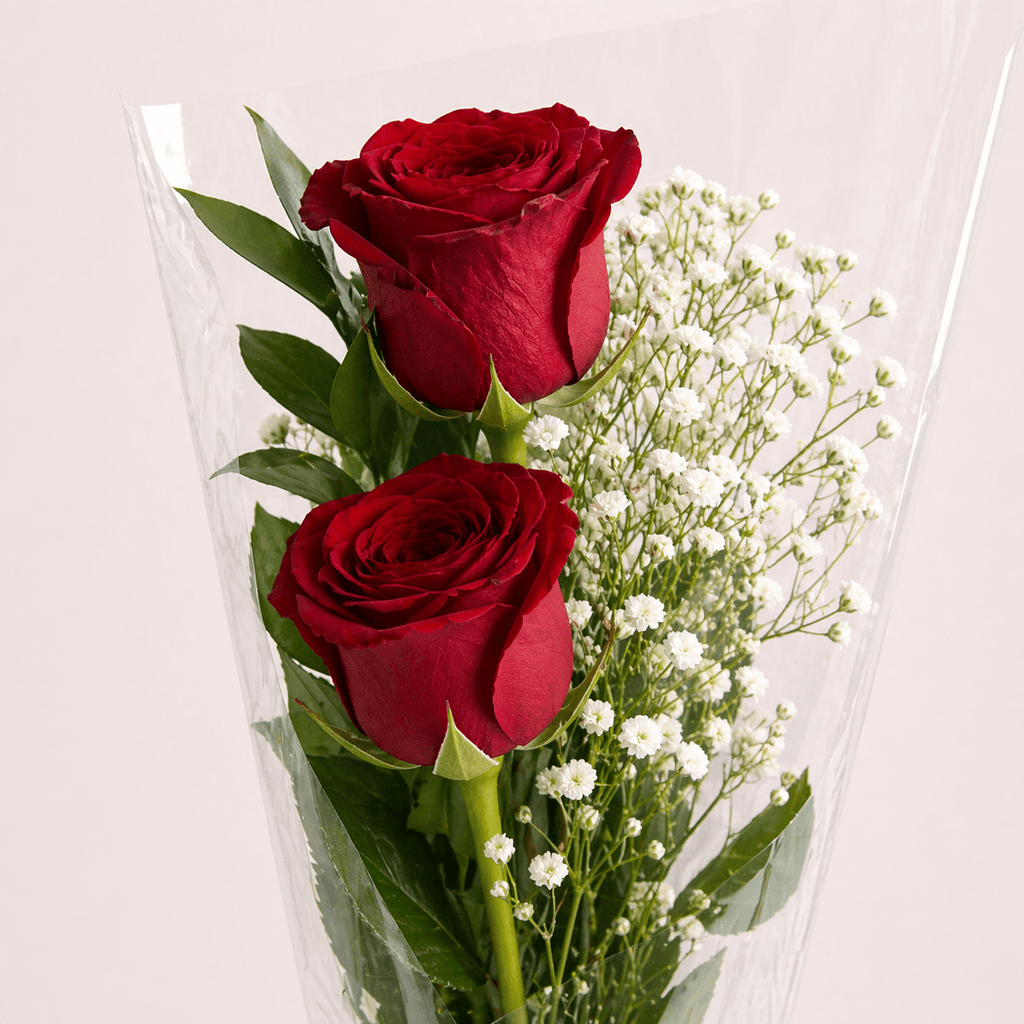 2 Rosas