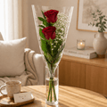 2 Rosas