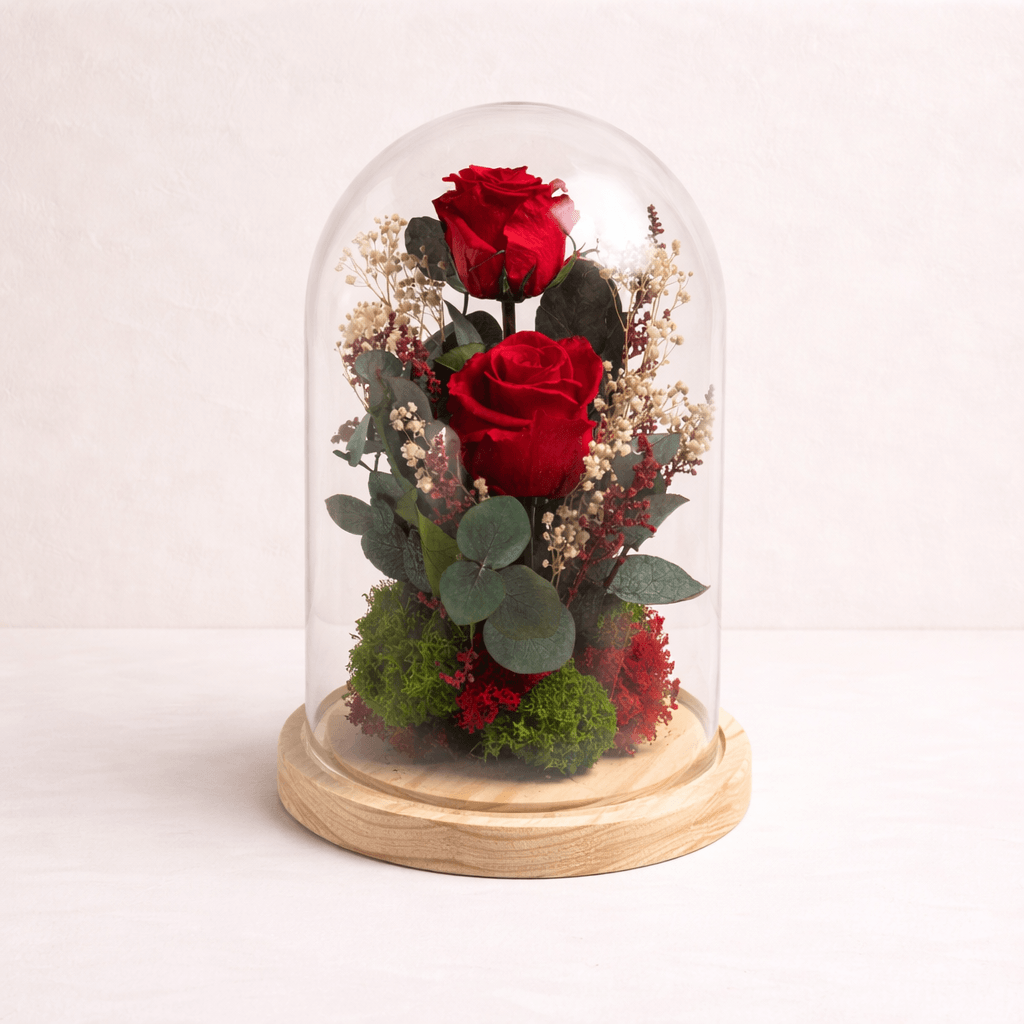 2 Rosas preservadas en cupula