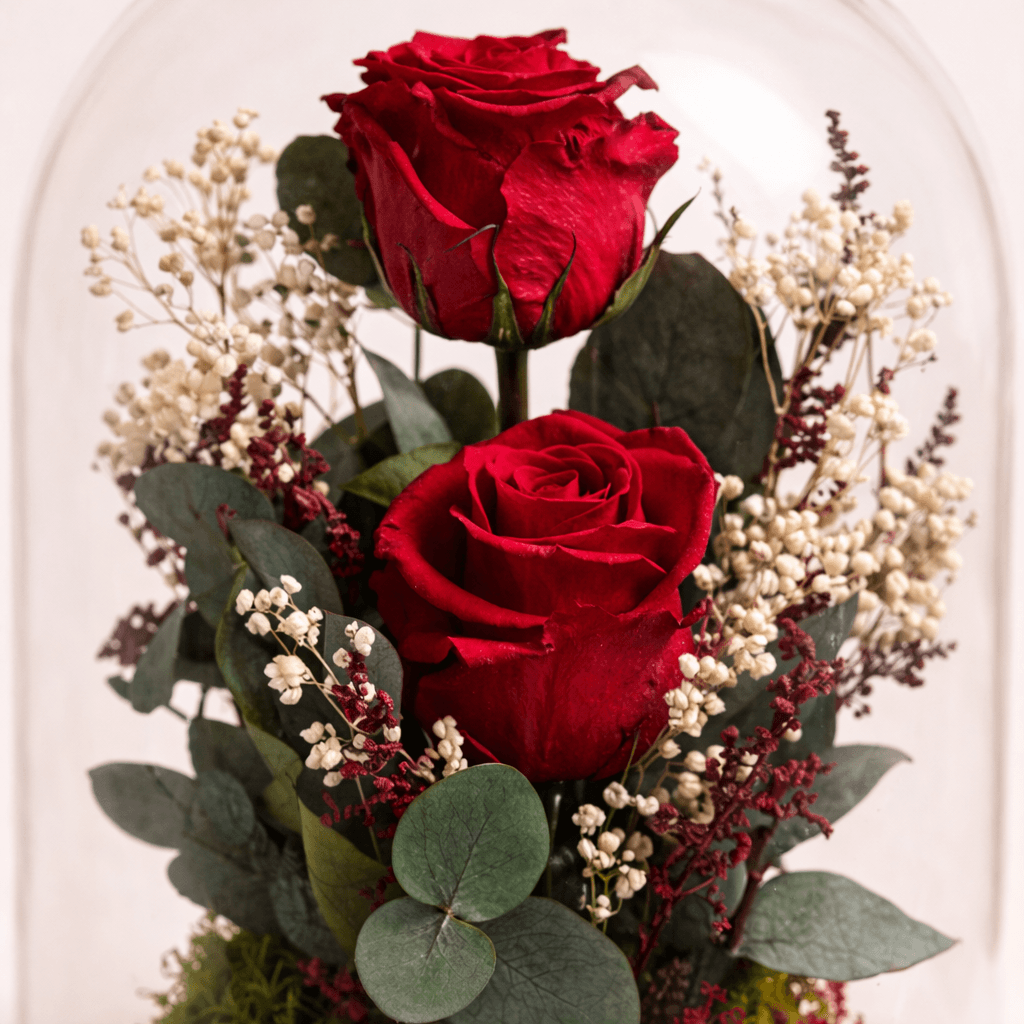 2 Rosas preservadas en cupula