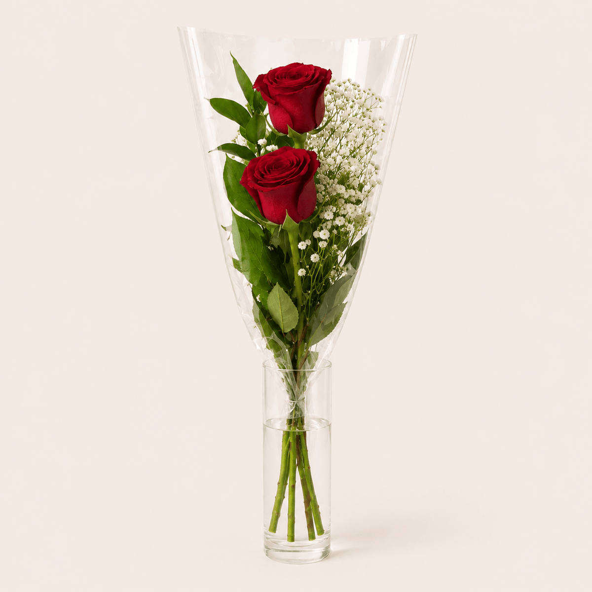 2 Rosas