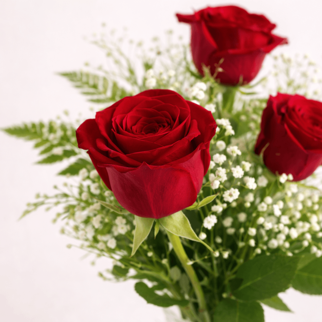 3 rosas