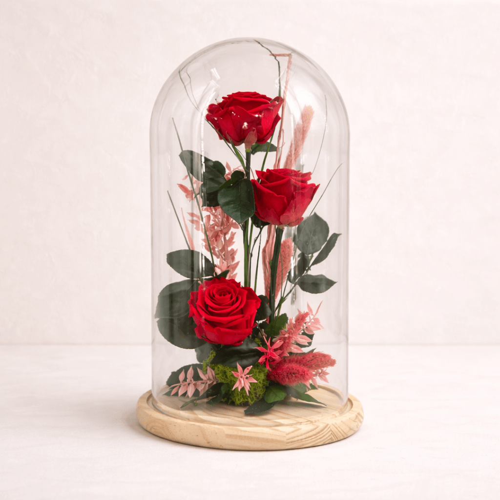 3 Rosas preservadas en cupula