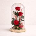 3 Rosas preservadas en cupula