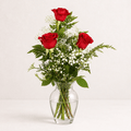3 Rosas