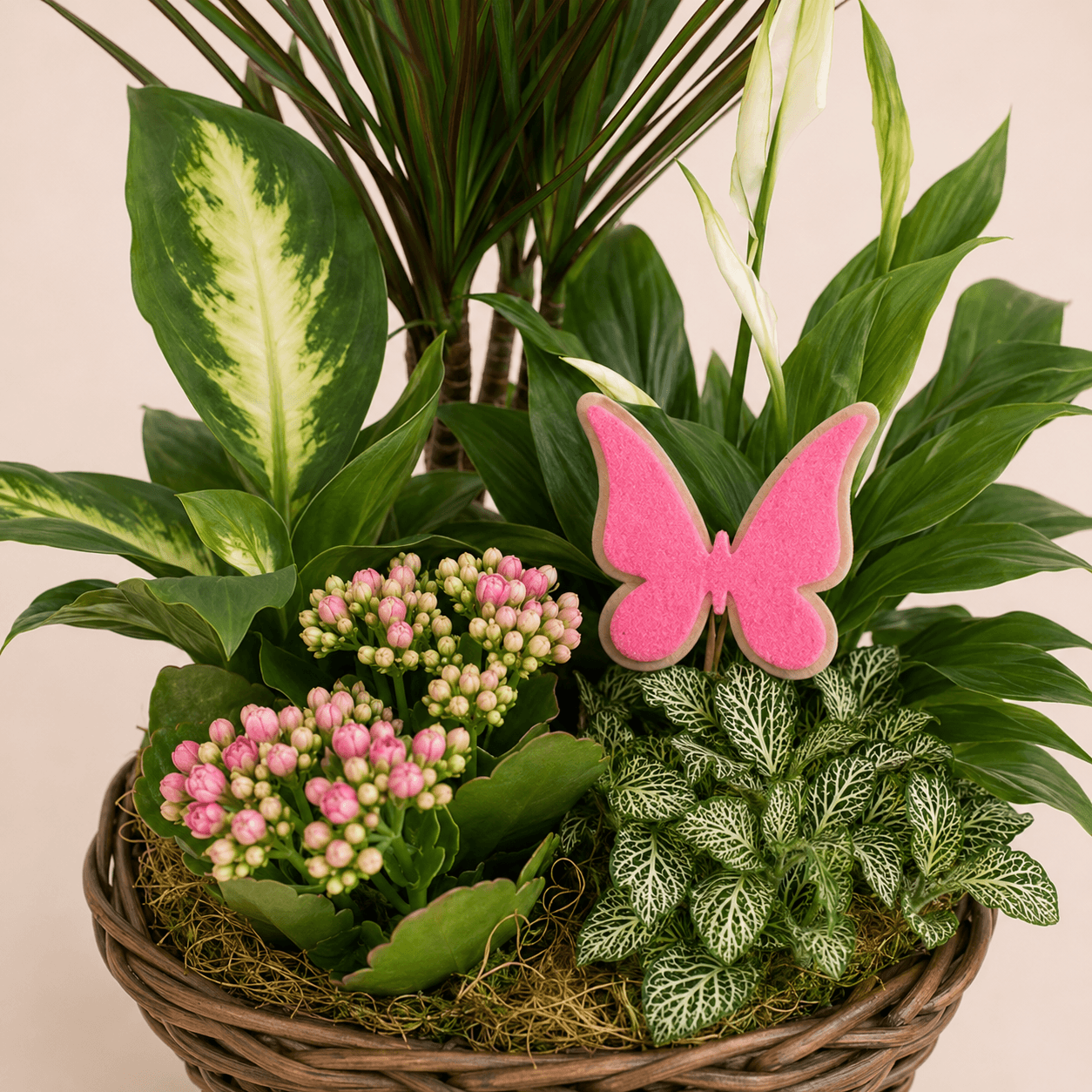Cesta de plantas variada