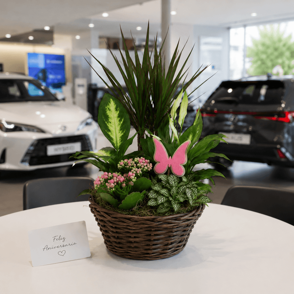 Cesta de plantas variada
