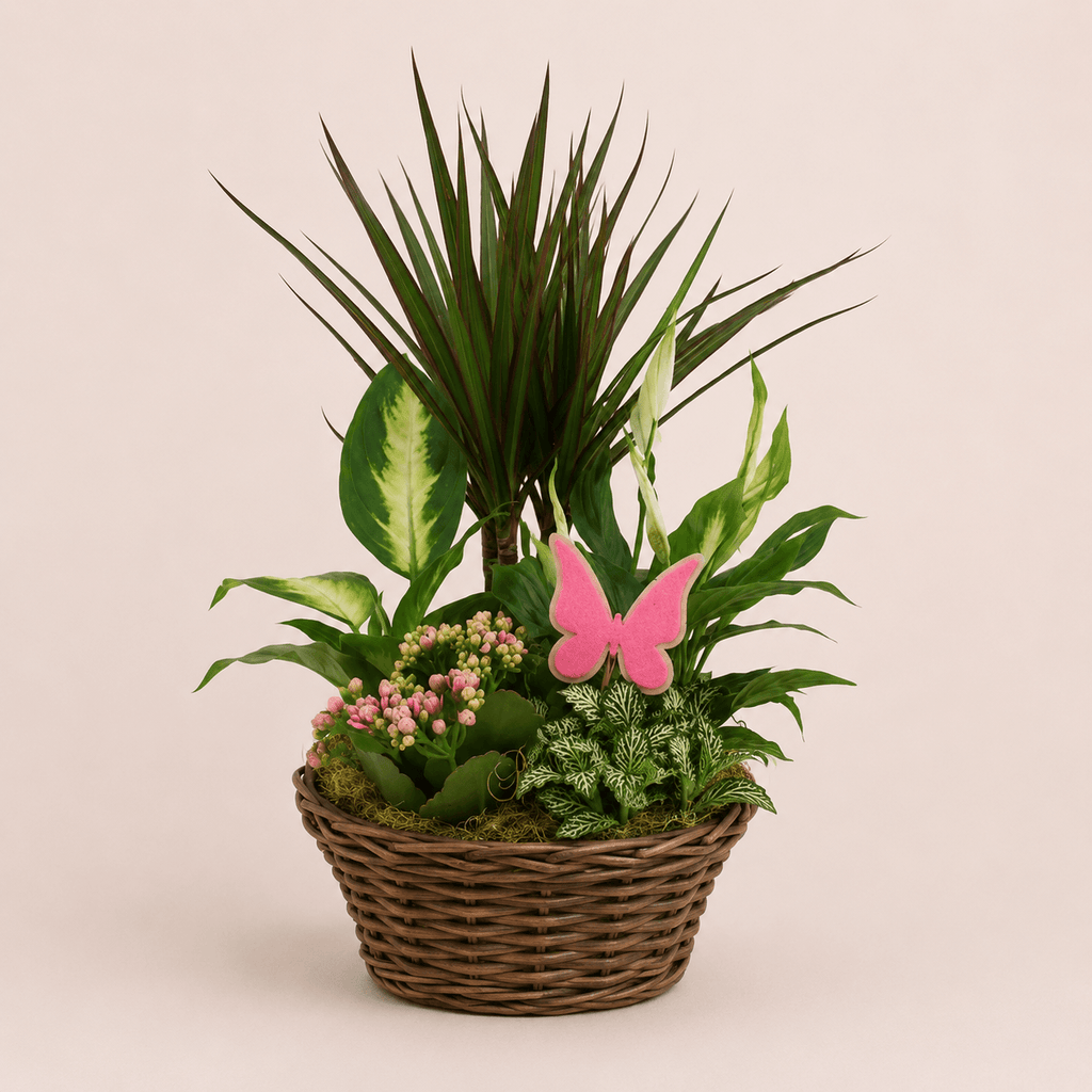 Cesta de plantas variada