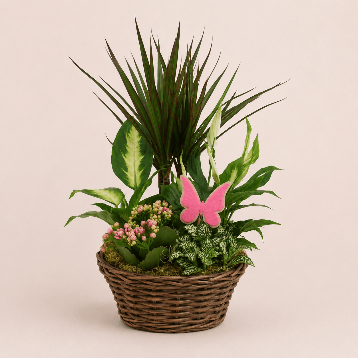 Cesta de plantas variada