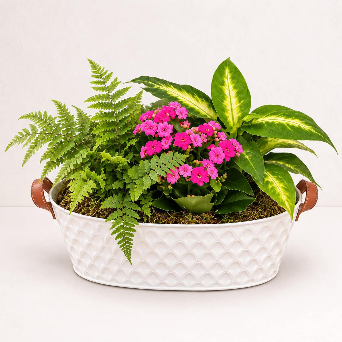 Cesta de plantas encanto natural