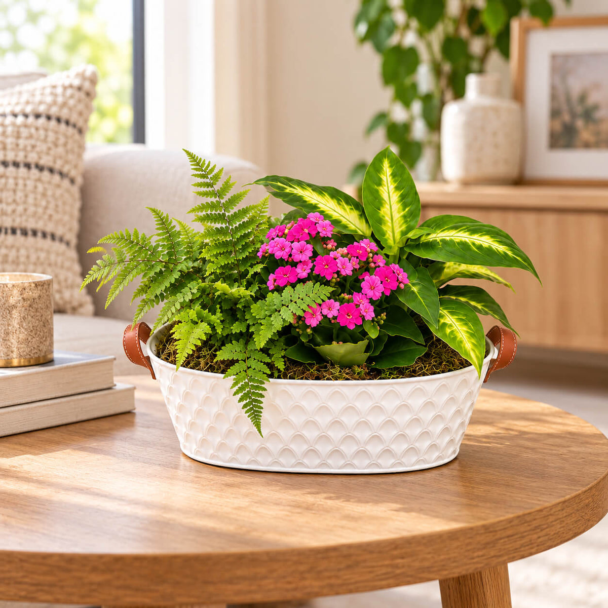 Cesta de plantas encanto natural