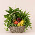 Cesta de plantas y frutas