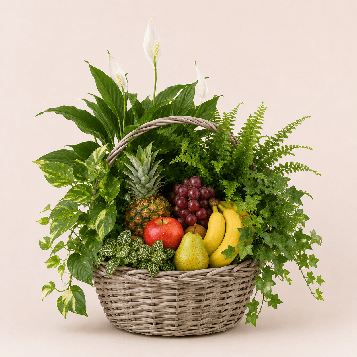 Cesta de plantas y frutas