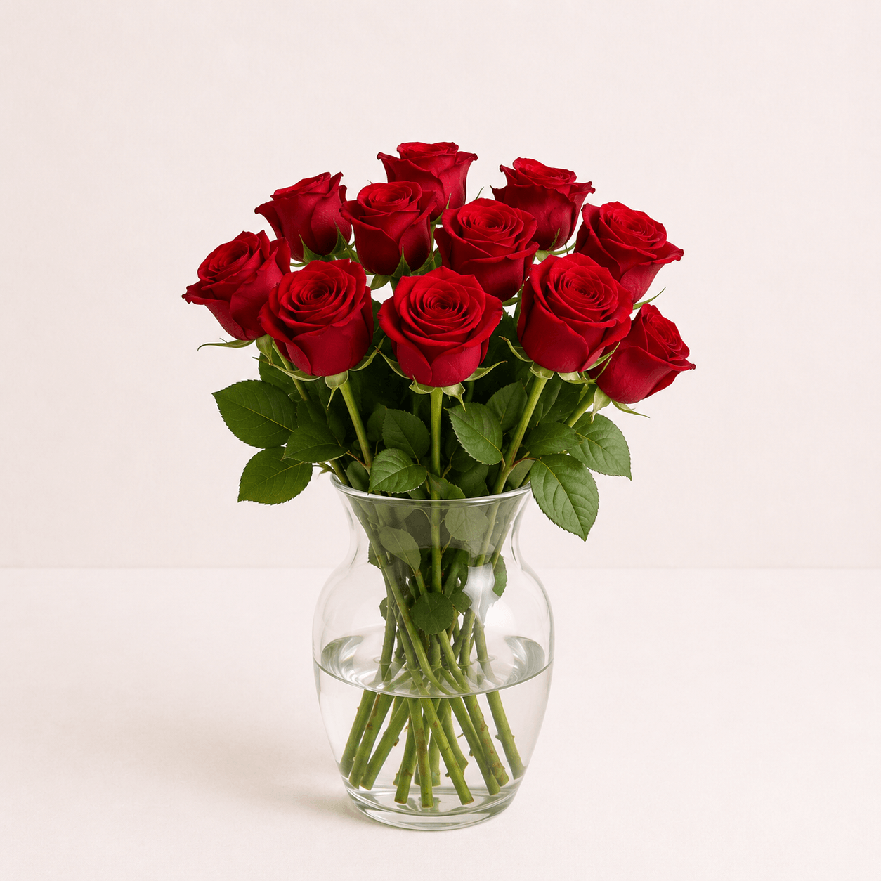 Pack 10 Rosas