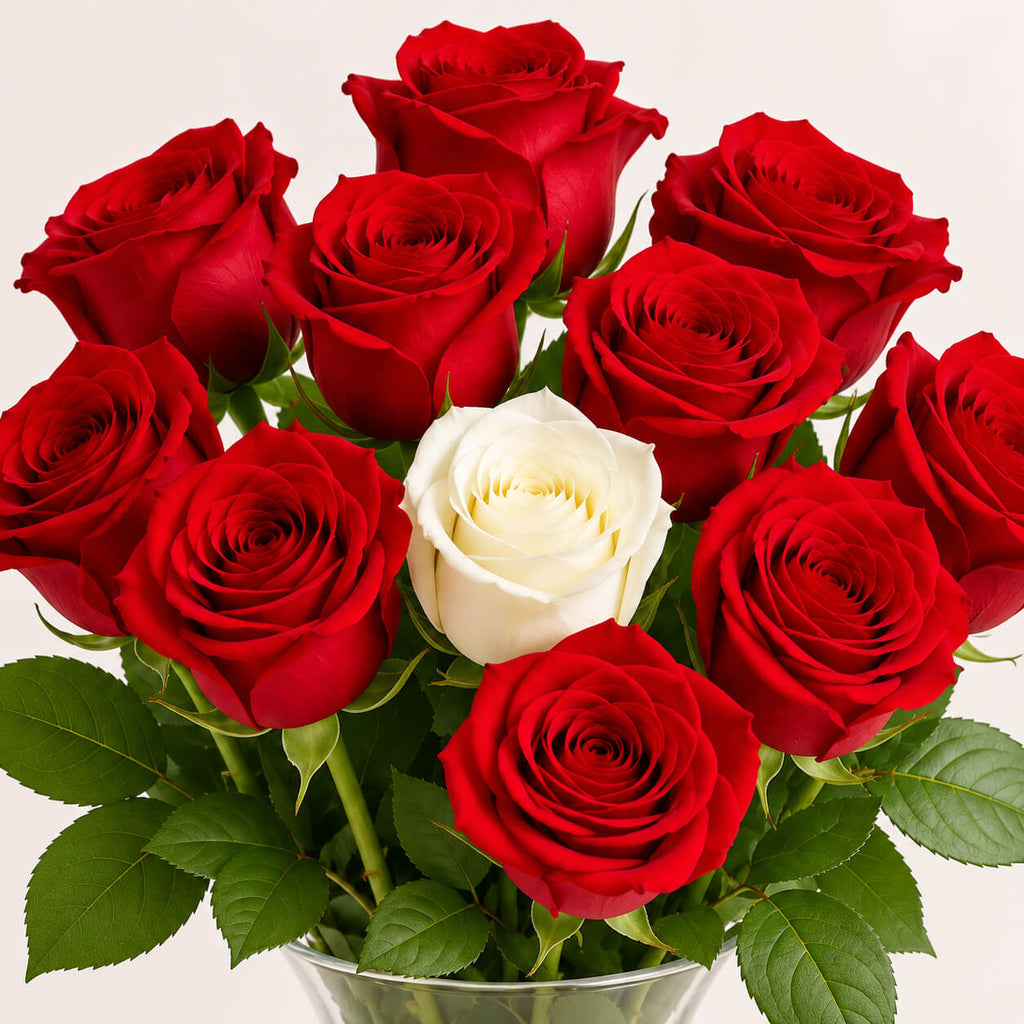 Pack de 10 rosas amor unico