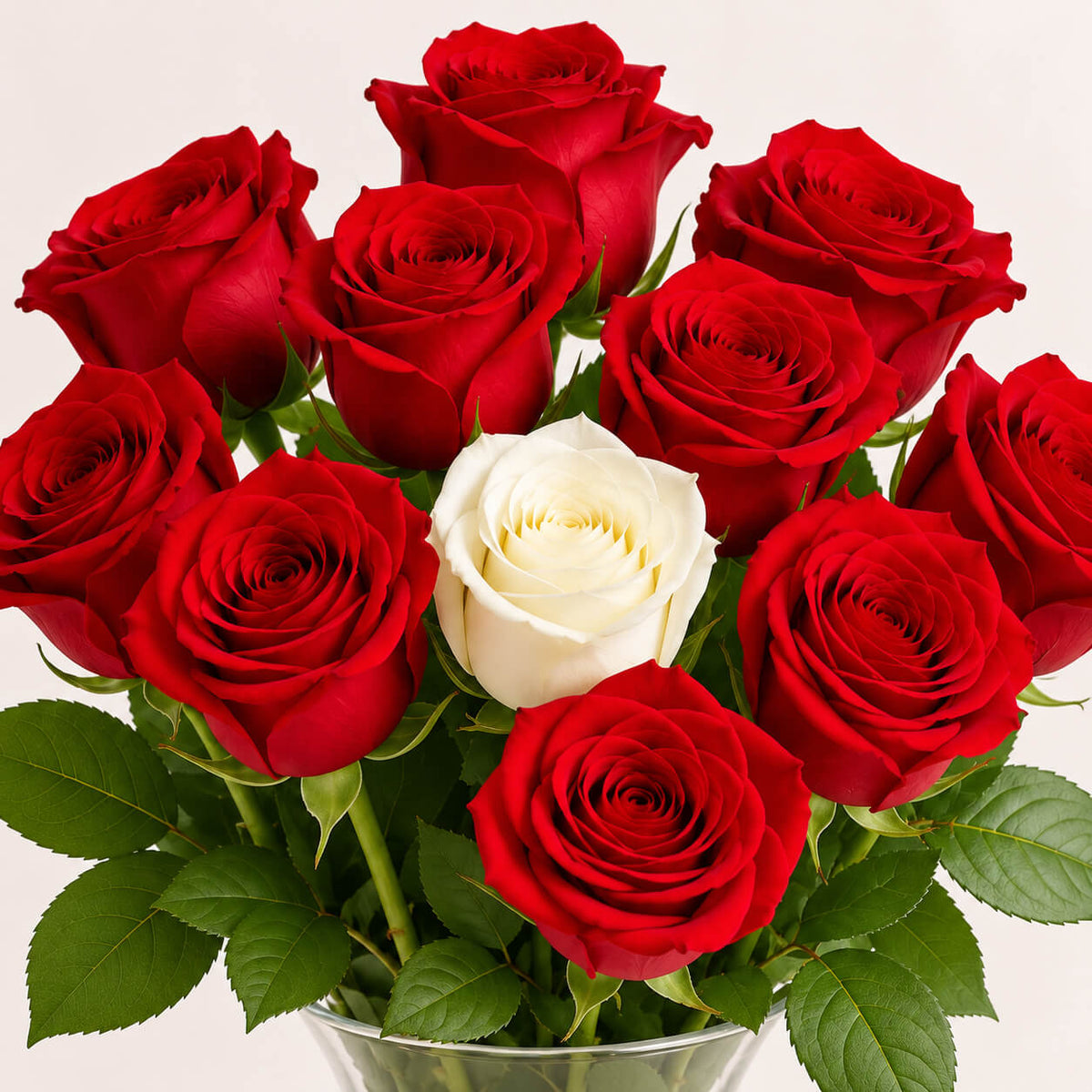 Pack de 10 rosas amor unico