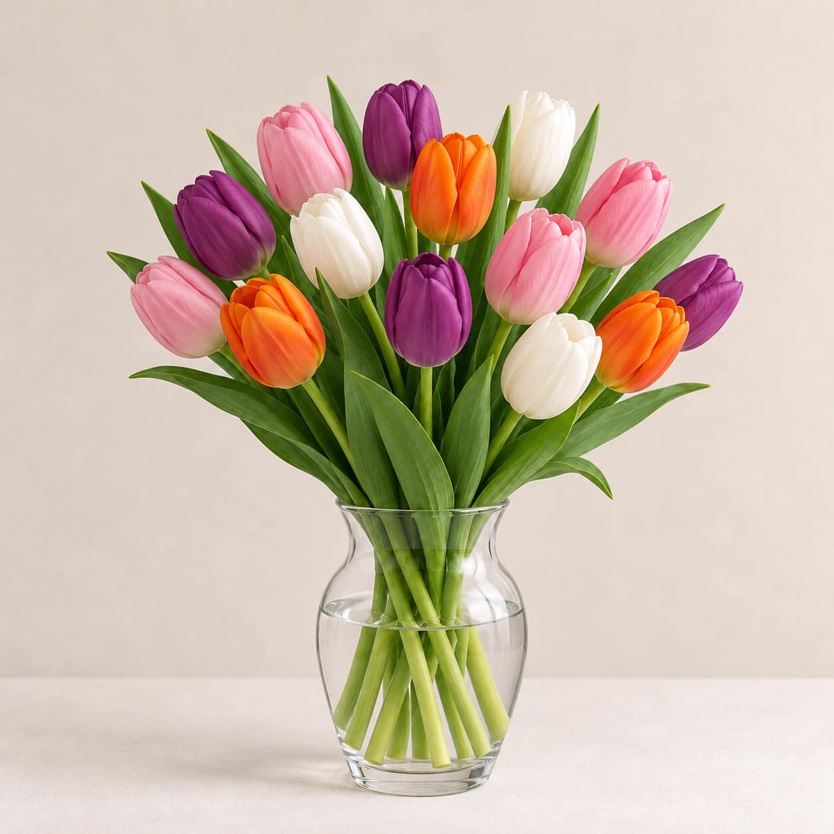 Pack de tulipanes (15 uds)