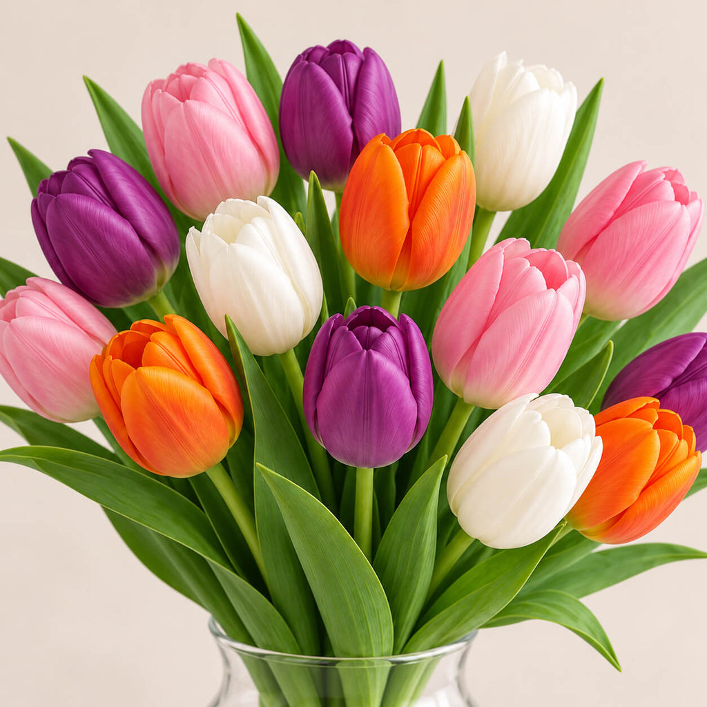 Pack de tulipanes (15 uds)