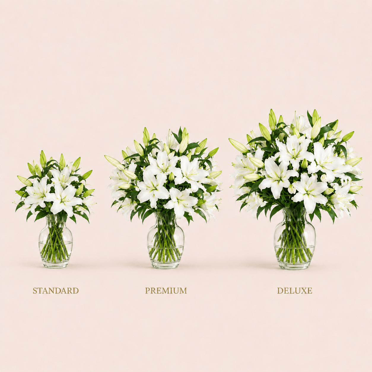 Ramo de lilium mini