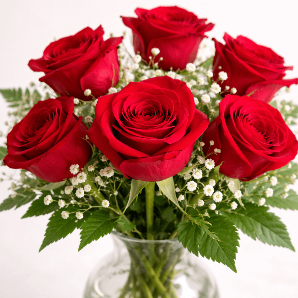 Ramo de 6 rosas