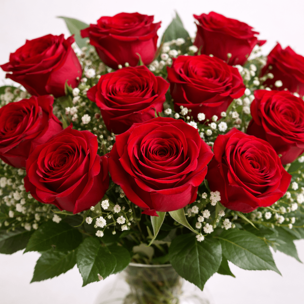 Ramo de 12 rosas
