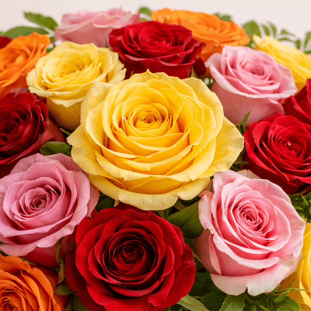 Ramo de 12 rosas mixto