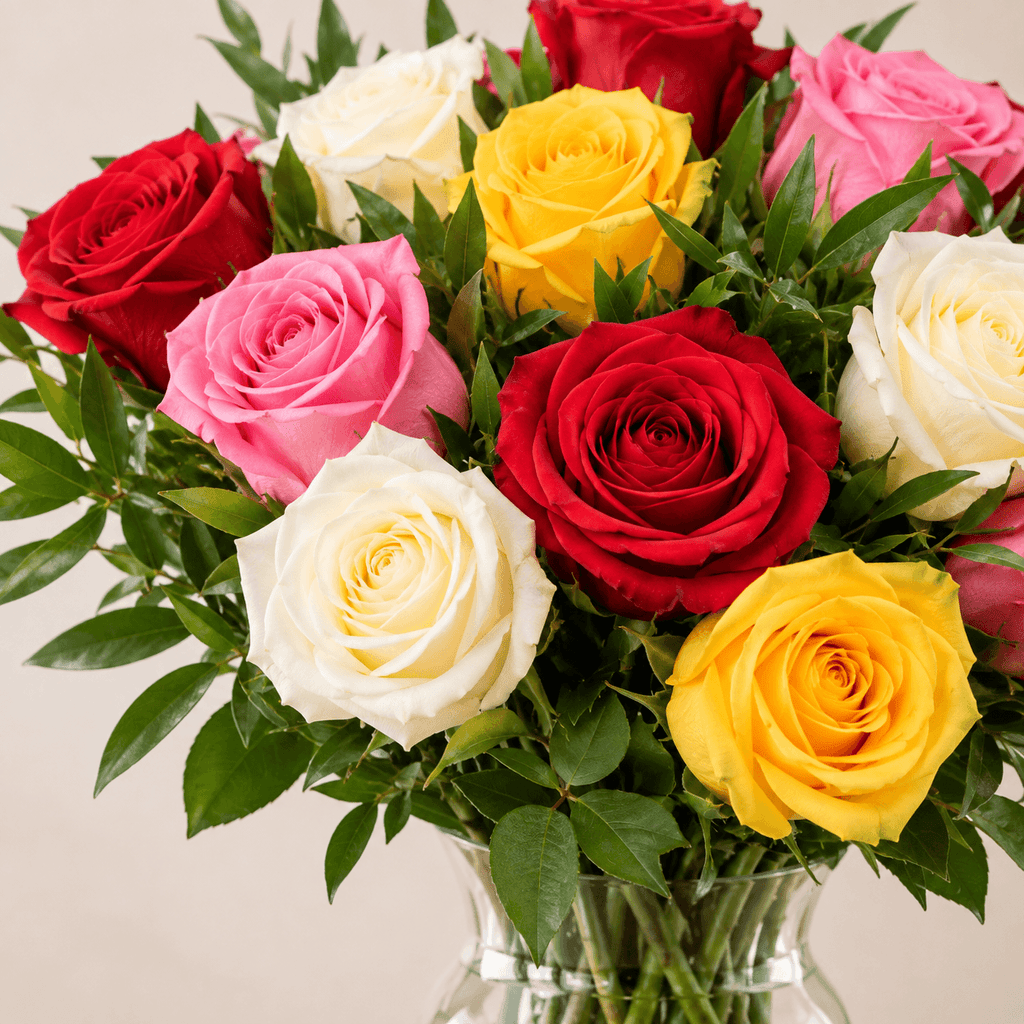 Ramo de 12 rosas mixto