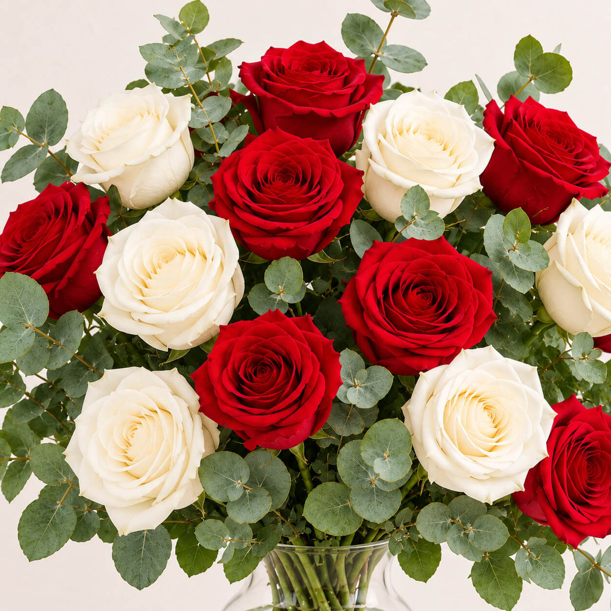 Ramo de 12 rosas rojas y blancas